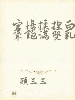 官场揉捏白嫩高耸饱满双乳小说