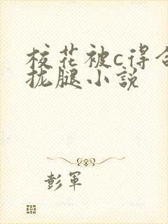 校花被c得合不拢腿小说