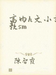 高肉h文小说调教sm