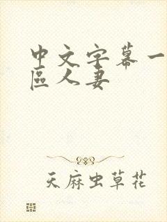 中文字幕一区二区人妻