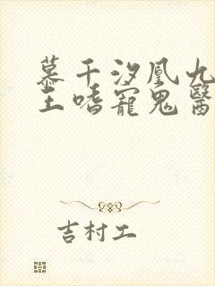 慕千汐凰九夜邪王嗜宠鬼医狂妃