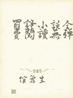 罗铮小说全文免费阅读无弹窗