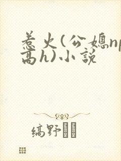 惹火(公媳np高h)小说