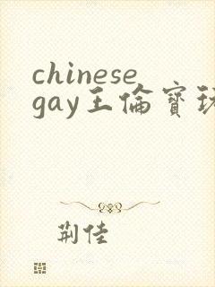 chinesegay王伦宝玩奴
