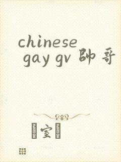 chinese gay gv 帅哥