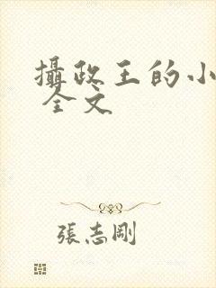 摄政王的小闲妻 全文