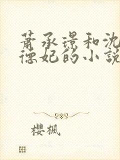 萧承璟和沈将军德妃的小说