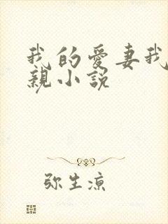 我的爱妻我的父亲小说
