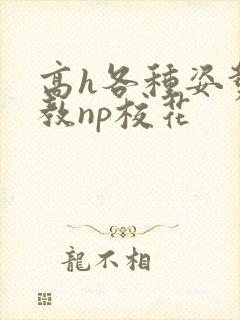 高h各种姿势调教np校花