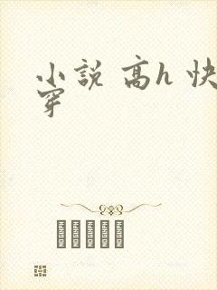 小说 高h 快穿