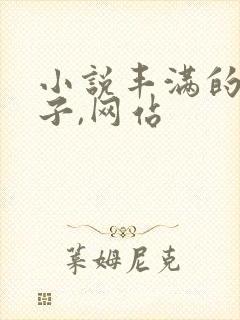 小说丰满的大奶子,网站封面