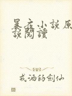 暴夜小说原著小说阅读