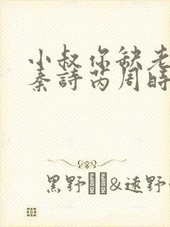 小叔你缺老婆不秦诗芮周时安小说封面