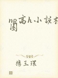 np高h小说校园封面
