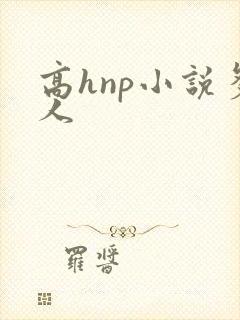 高hnp小说多人封面