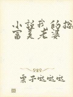 小说我的总裁白富美老婆