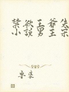 禁欲王爷失控了小说男主宋持的小说