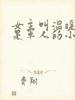 女主叫温暖男主是军人的小说