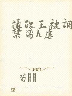 摄政王被调教成禁脔h虐