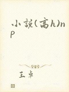 小说(高h)np