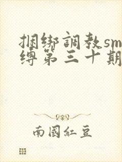 捆绑调教sm束缚第三十期