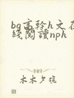 bg高干h文在线阅读nph
