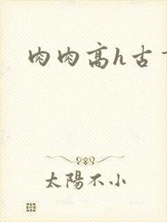 肉肉高h古言