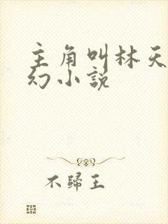 主角叫林天的玄幻小说