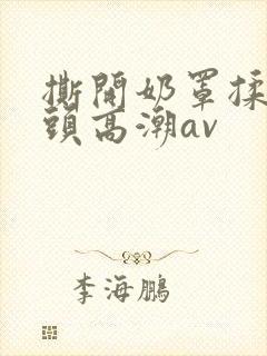 撕开奶罩揉吮奶头高潮av