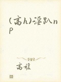 (高h)淫趴np