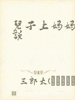 儿子上妈妈的小说