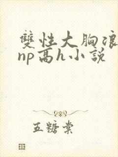 双性大胸浪荡受np高h小说