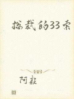 总裁的33索情封面