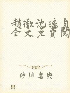 赵彻沈璃月小说全文免费阅读封面