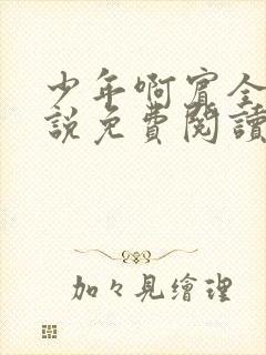 少年啊宾全文小说免费阅读笔趣阁封面