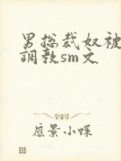 男总裁奴被绳绑调教sm文