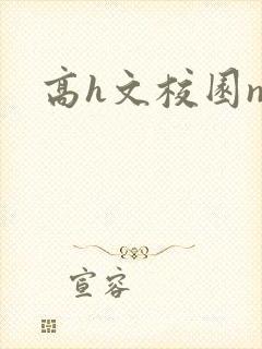 高h文校园np封面