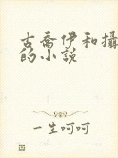 古乔伊和摄政王的小说