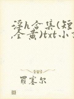 淫h合集(短篇,全黄)txt小说