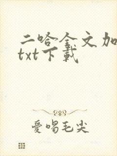 二哈全文加番外txt下载