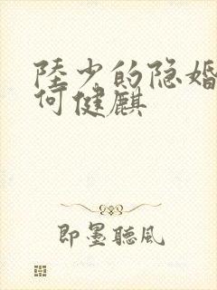 陆少的隐婚罪妻何健麒