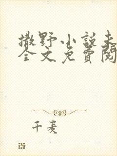 撒野小说未删版全文免费阅读