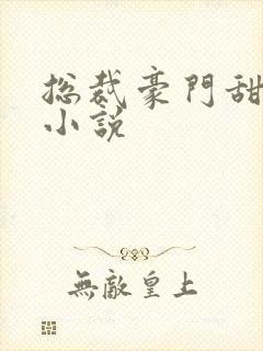 总裁豪门甜宠文小说