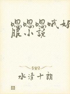 嗯嗯嗯哦好爽舒服小说