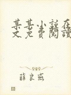 某某小说在线全文免费阅读