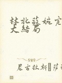 林北苏婉完整版大结局