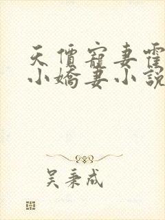 天价宠妻霍总的小娇妻小说免费阅读封面