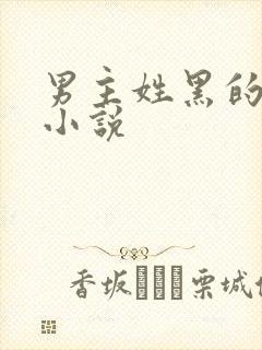 男主姓黑的总裁小说