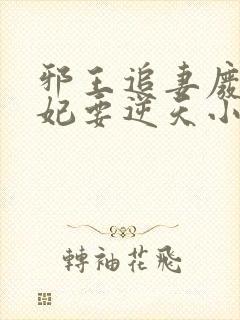 邪王追妻废材狂妃要逆天小说