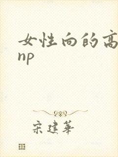女性向的高h文np
